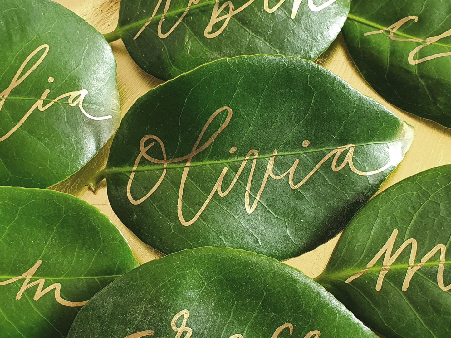 leaf calligraphy leaves placement wedding place cards event handwritten leaf