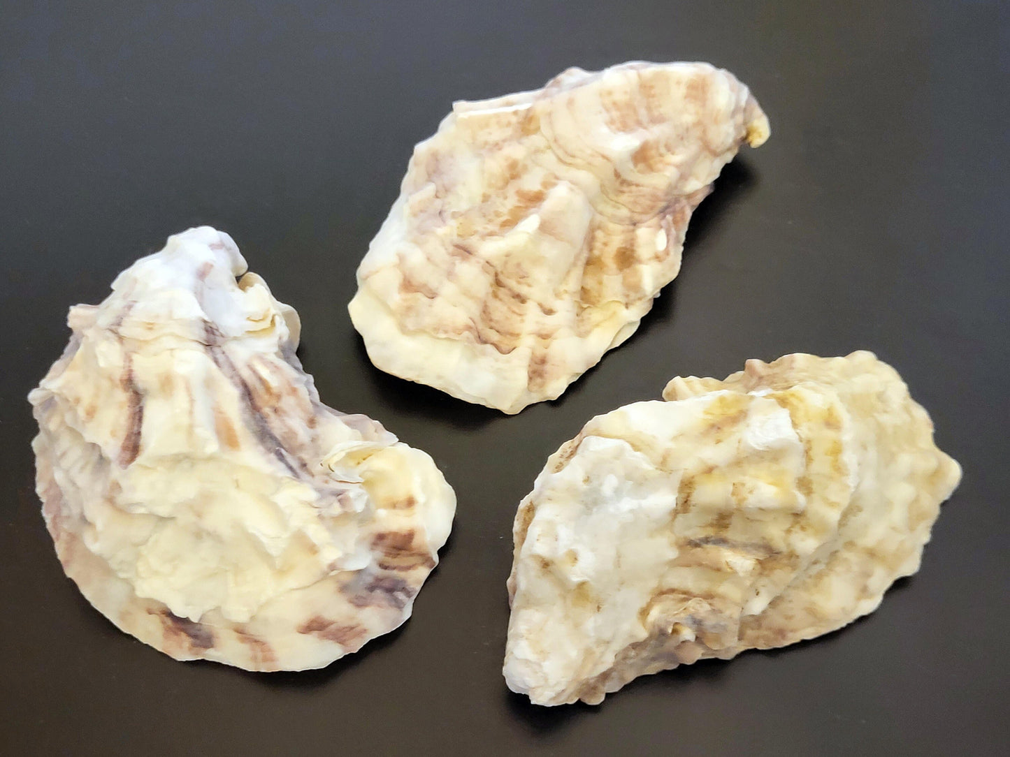 Personalised Oyster Shells name cards - Wedding place names - Shell Place cards - Oyster place settings - Agate Placemats alternative escort