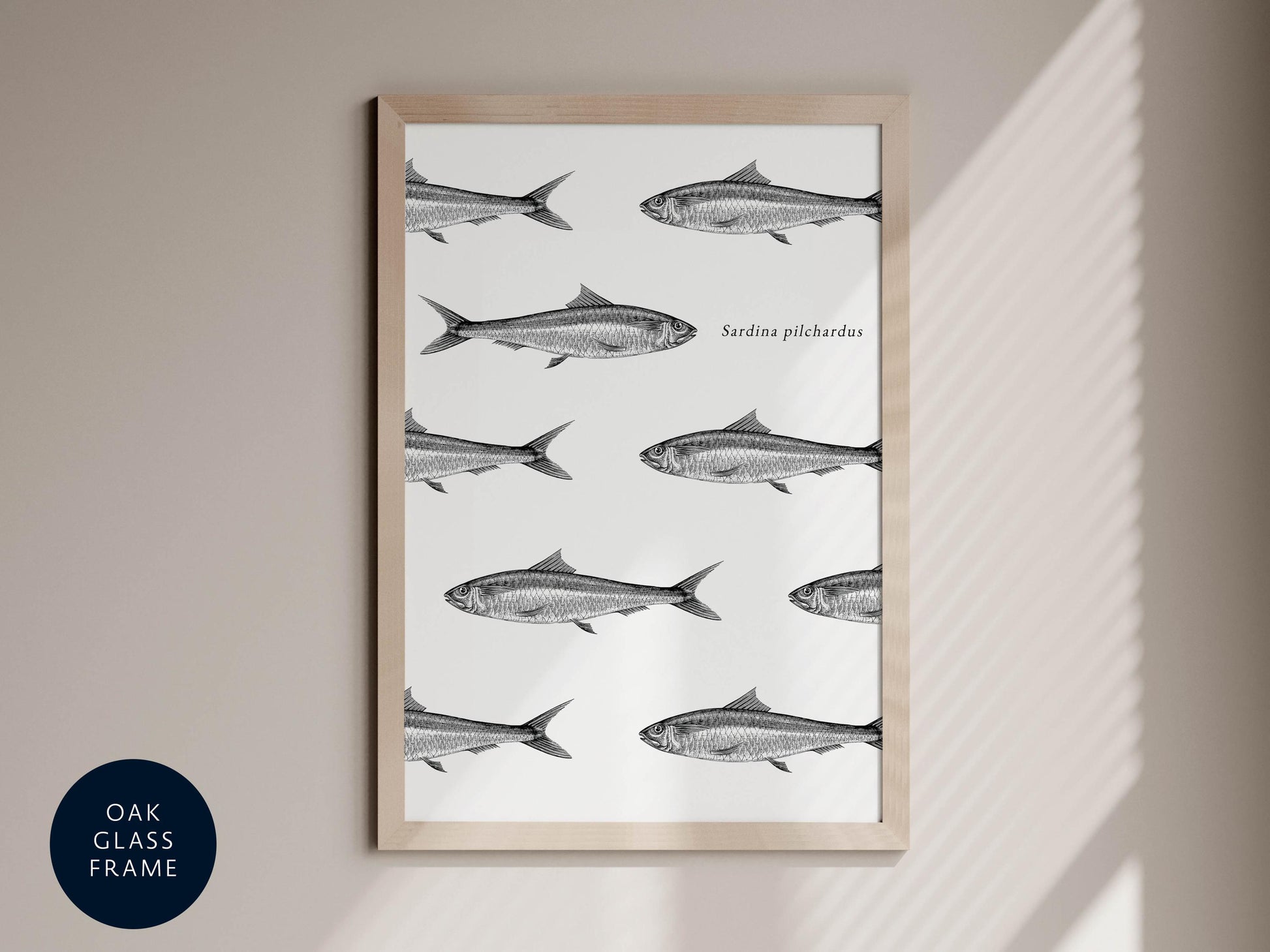 The image is a framed print featuring a repeating pattern of fish illustrations, with the text "Sardina piscidae" written below each fish.
