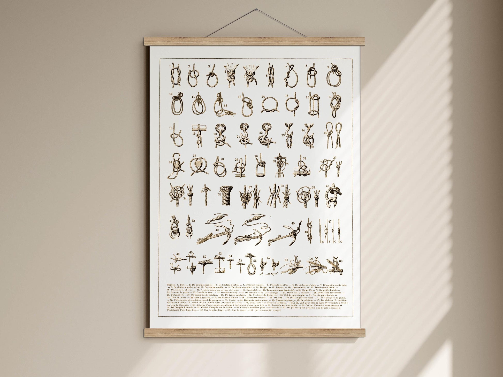 The image is a framed poster with various illustrations and text, including symbols and words, all arranged on a white background.