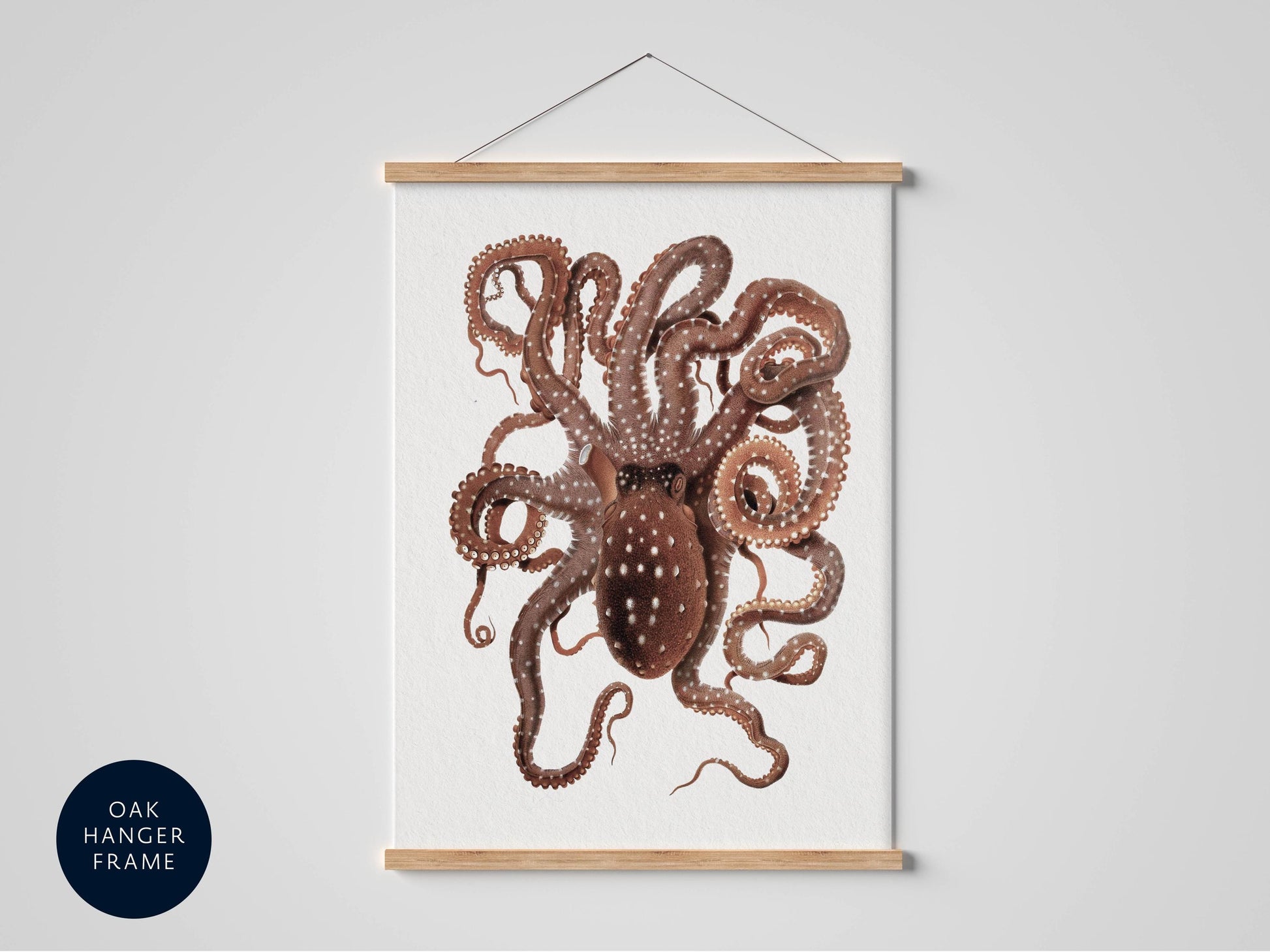 an illustration of an octopus with its tentacles spread out, hanging on a wall.