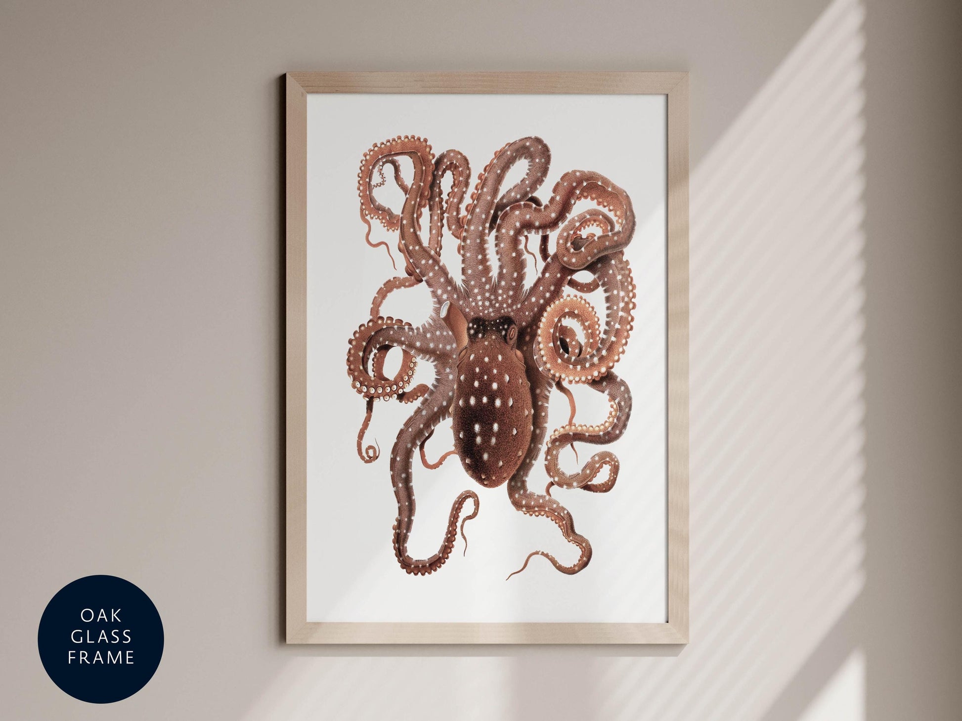 an illustration of an octopus with its tentacles spread out, displayed in a framed artwork on a wall.