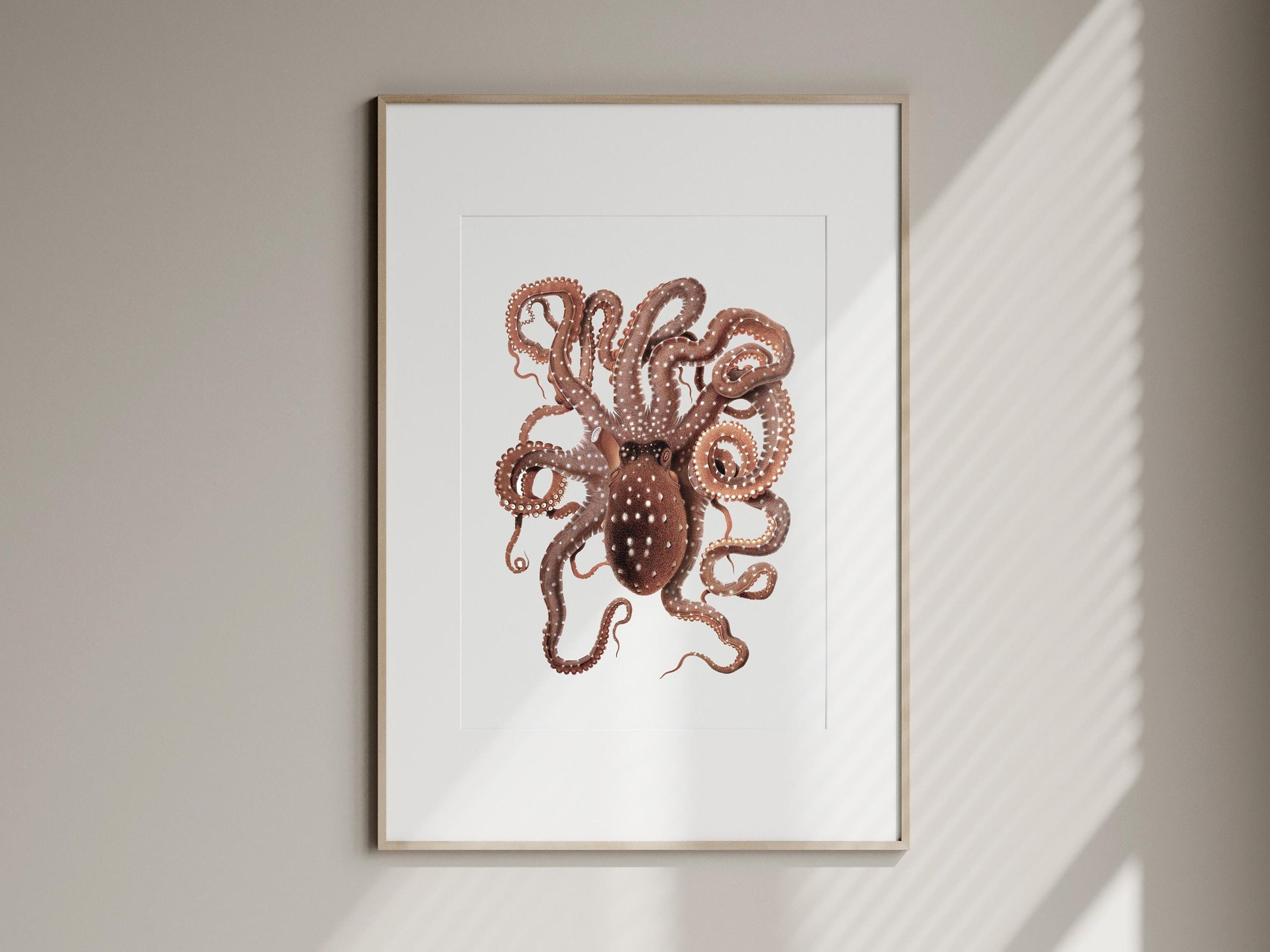 vintage sea life print of octopus, framed poster sea animal, seaside gift