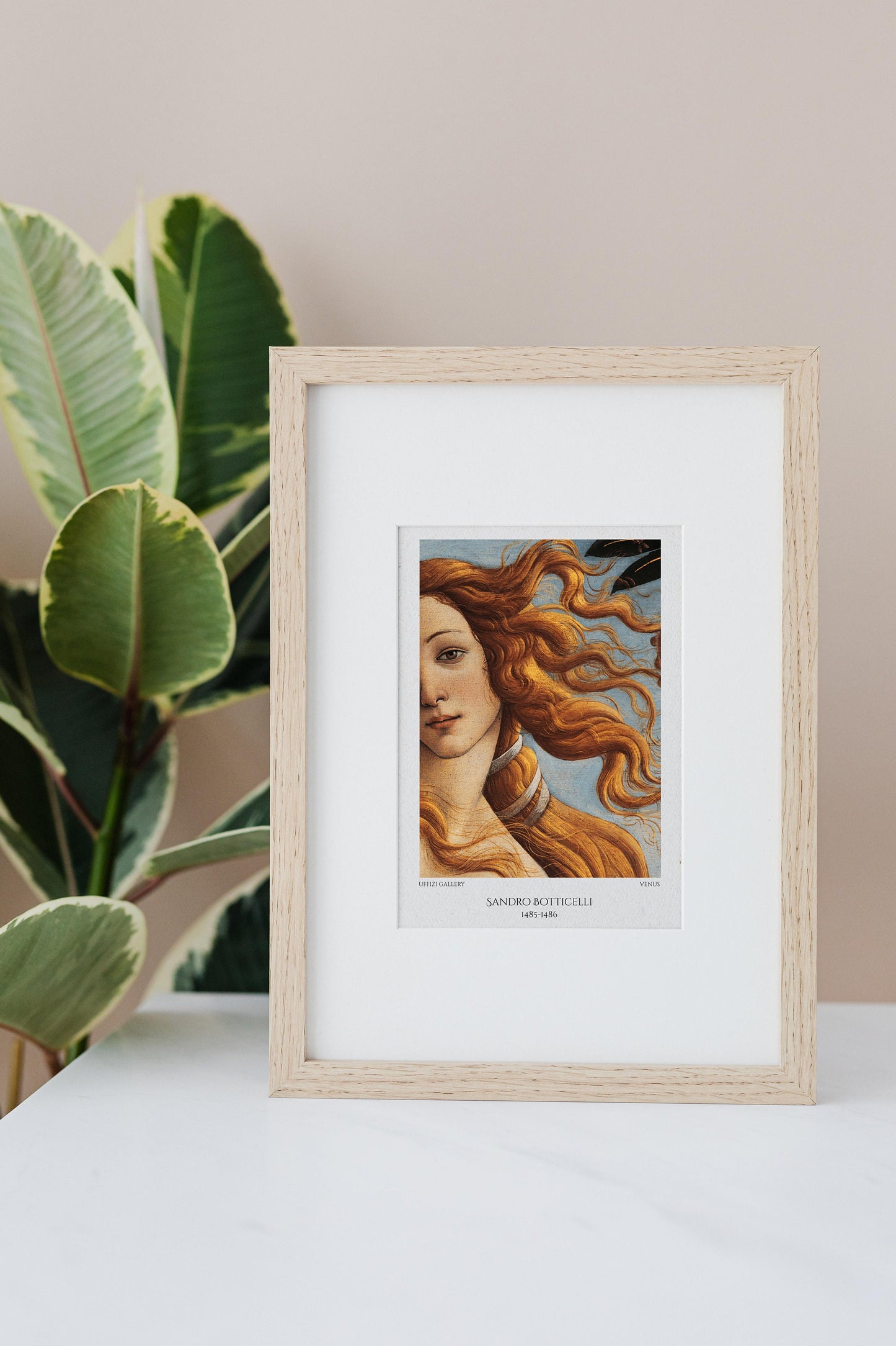 the birth of venus detail art print, close up of Venus by Sandro Botticelli poster framed