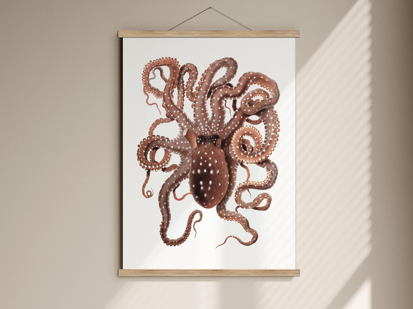 vintage sea life print of octopus, framed poster sea animal, seaside gift