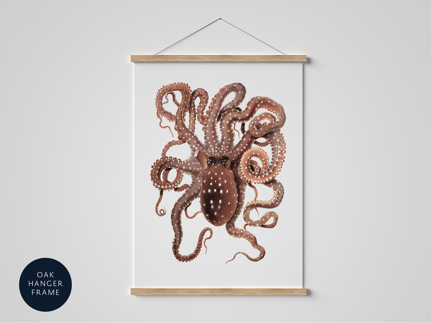 vintage sea life print of octopus, framed poster sea animal, seaside gift