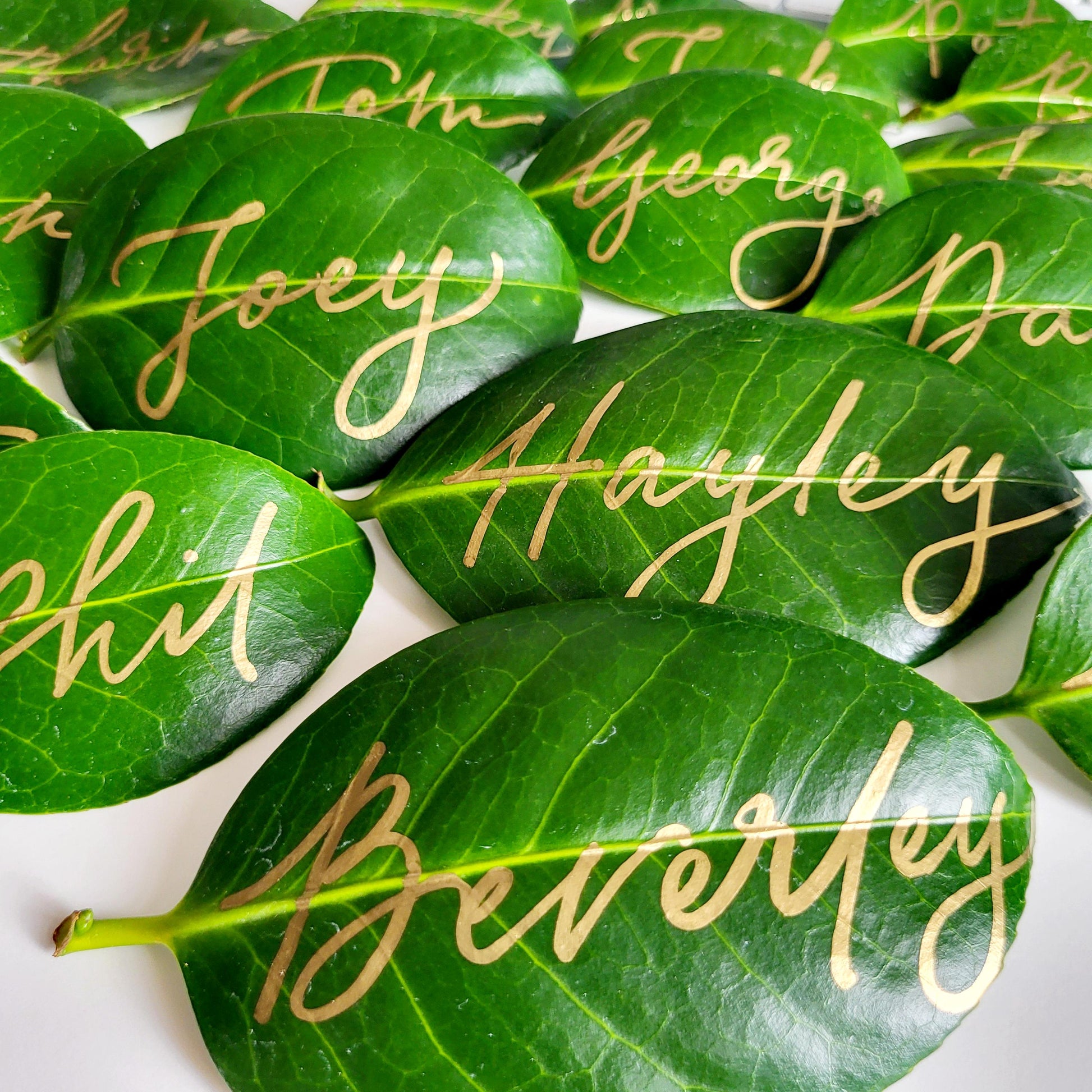 Hand Leaf Place Cards | Gold Calligraphy Wedding Favors, Boho Decor, Name placements, Table Setting