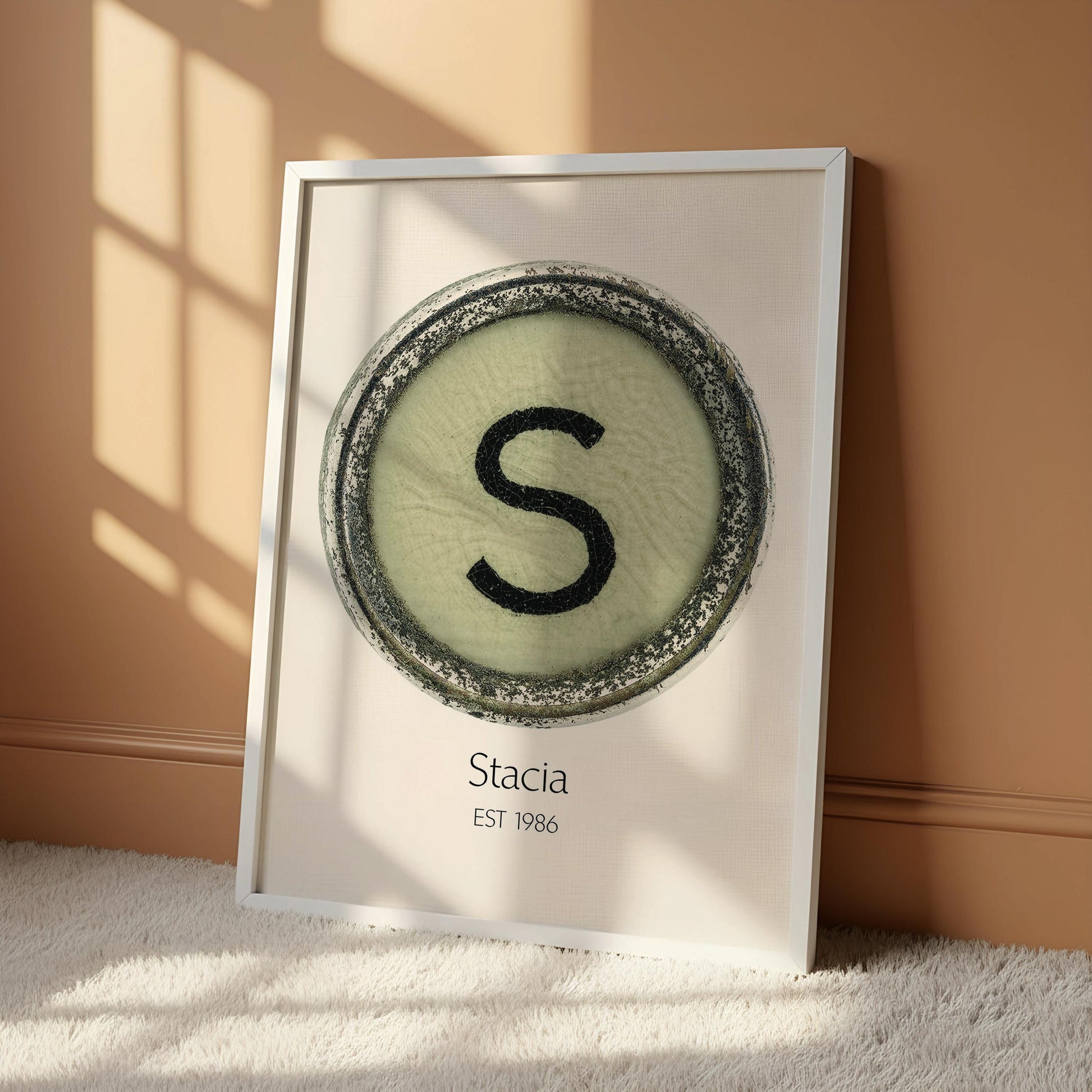 a framed poster with a circular design containing the letter 'S' in the center.