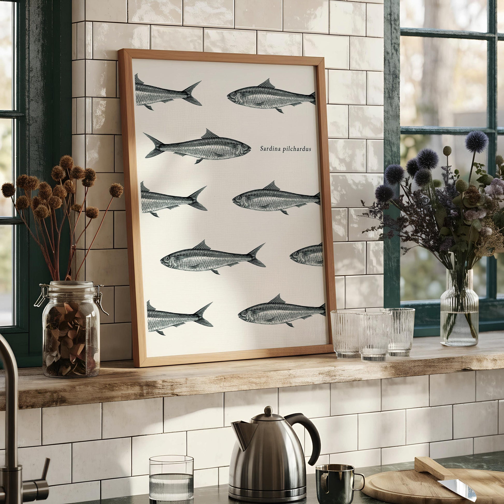 The image is a framed print featuring a repeating pattern of fish illustrations, with the text "Sardina piscidae" written below each fish.