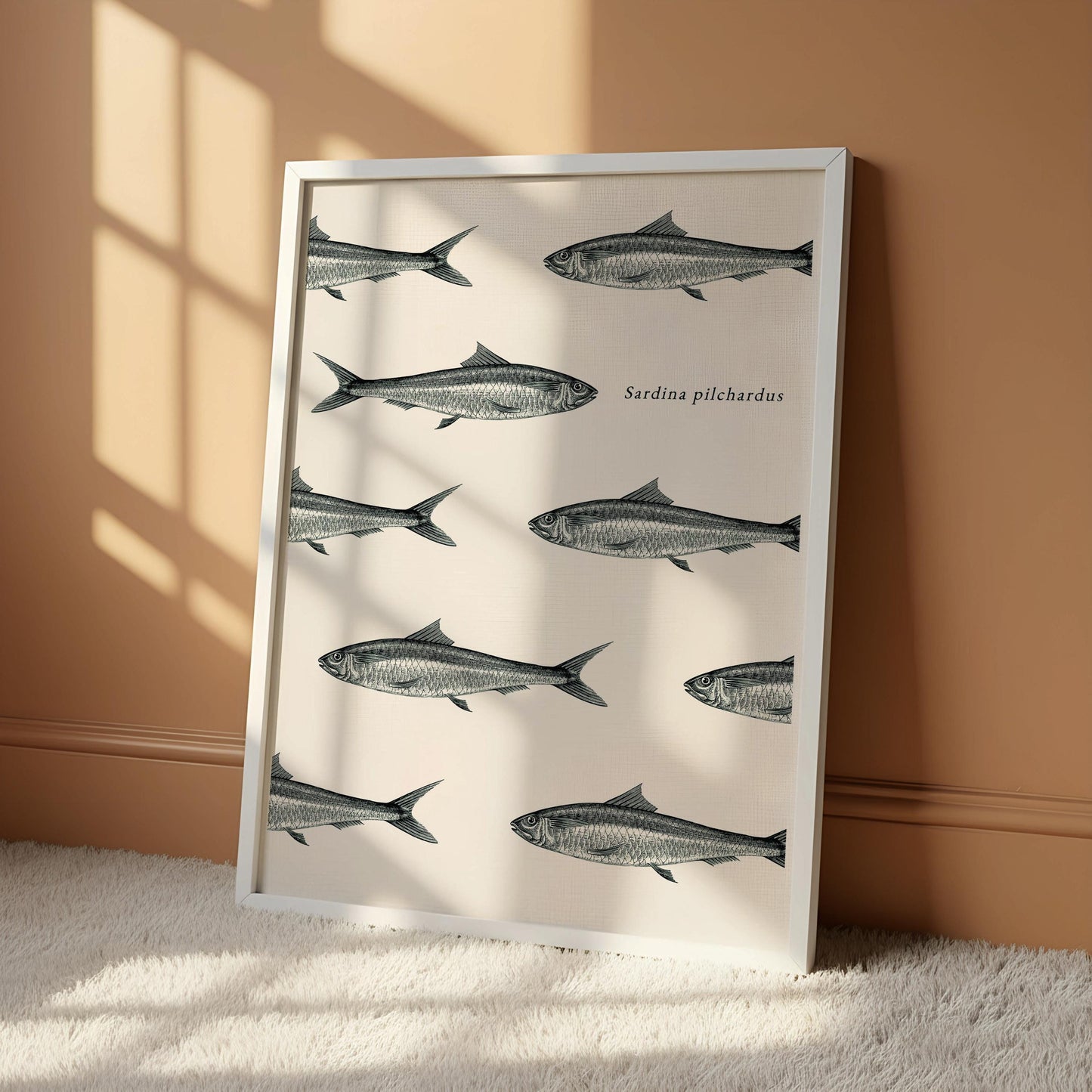 a framed print of a repeating pattern of fish illustrations, with the text "Sardina pilchardus" written below the illustrations.